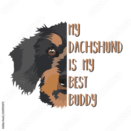Bester Freund Dackel