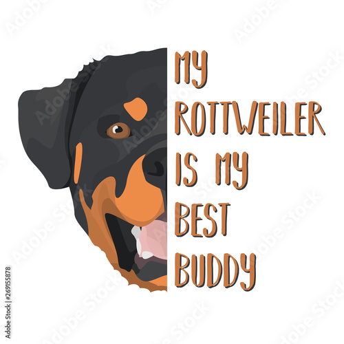 Bester Freund Rottweiler