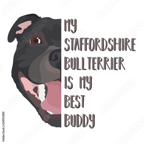 Bester Freund Staffordshire Bullterrier