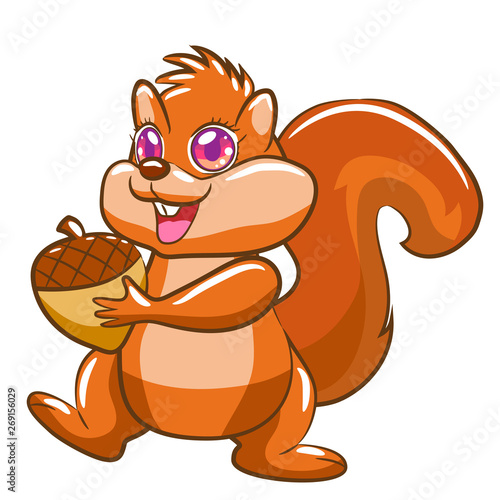 squirrel vector graphic