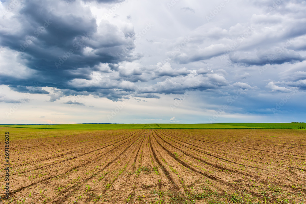 Plowed agricultural field and clouds in the sky Plowed agricultural field and clouds in the sky