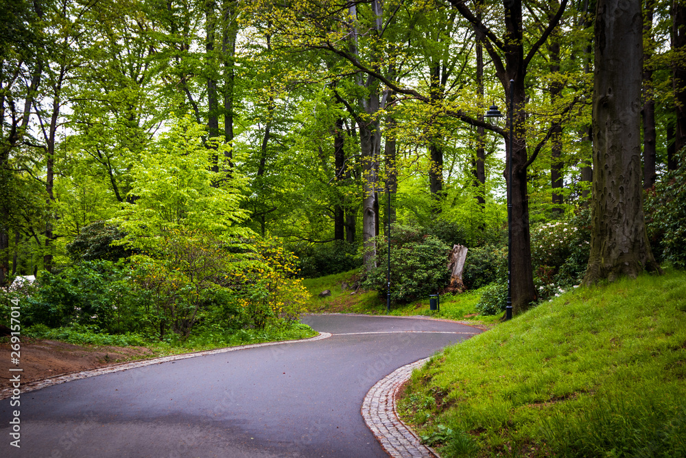 Footpath in a park in spring with trees and greenery Footpath in a park in spring with trees and greenery