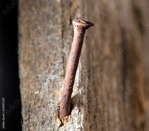 Rusty nail on a wooden board