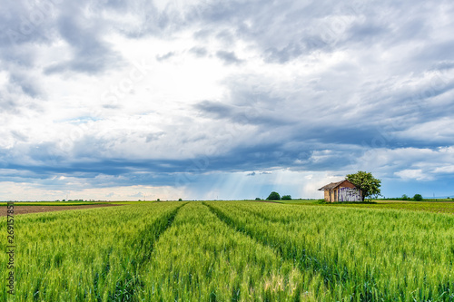 Old House in the field