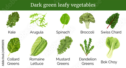 Dark green leafy vegetables, herbs. Spinach, Dandelion green, broccoli, Mustard, Romaine Lettuce, kale, Collard. photo