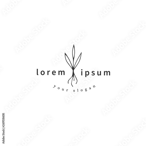 Hand drawn garden isolated illustration. Vector logo template, a sprout with roots.