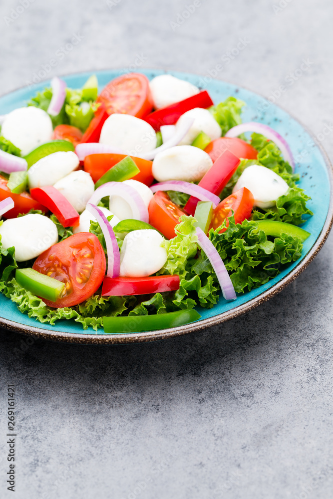 Vegetable salad with cheese mozzarella, tomatoes, basilikum and spice. Vegetable salad with cheese mozzarella, tomatoes, basilikum and spice.