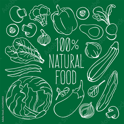 RAW FOOD Vegetarian Cuisine Menu Healthy Low Carb Diet Proper Nutrition Vector Illustration Set for Print Fabric and Decoration