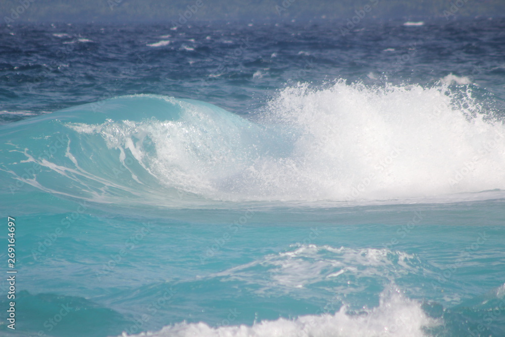 Fototapeta premium seychelles private island beach