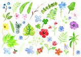 Aquarell Blumen und andere florale Motive