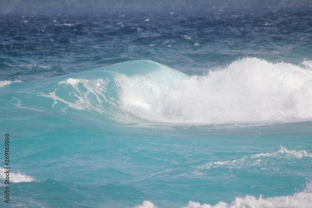 Fototapeta premium seychelles private island beach
