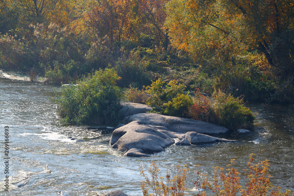 Fototapeta premium Top view of the river with rapids and autumn trees along the bank of the dawn. Autumn river landscape