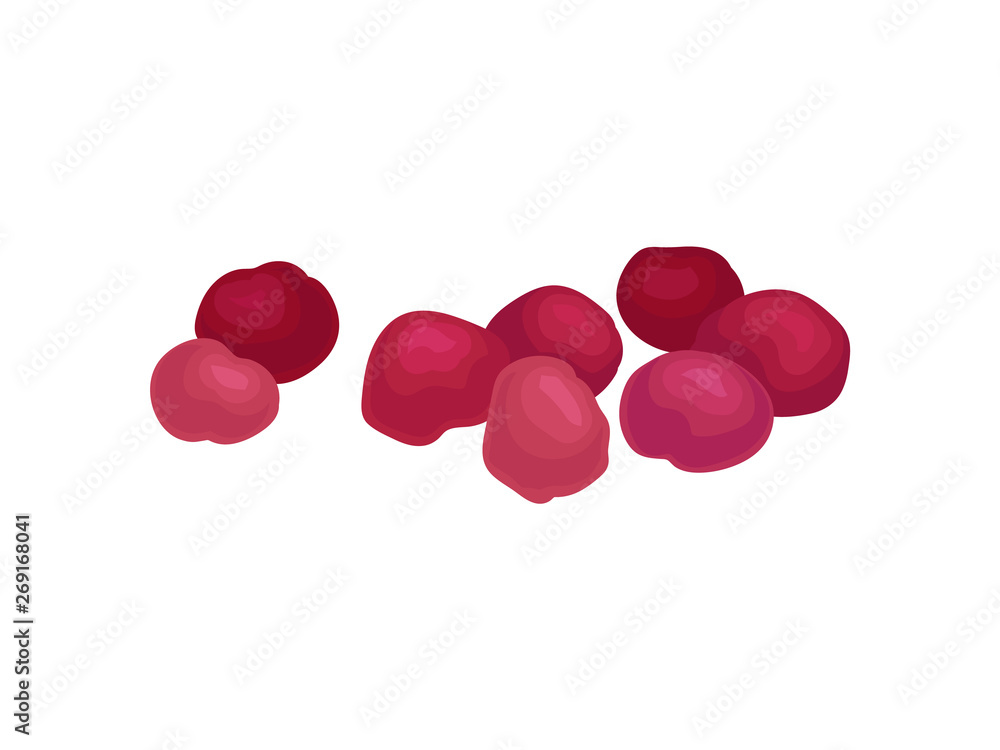 Red dried cherries. Realistic vector illustration on white background.