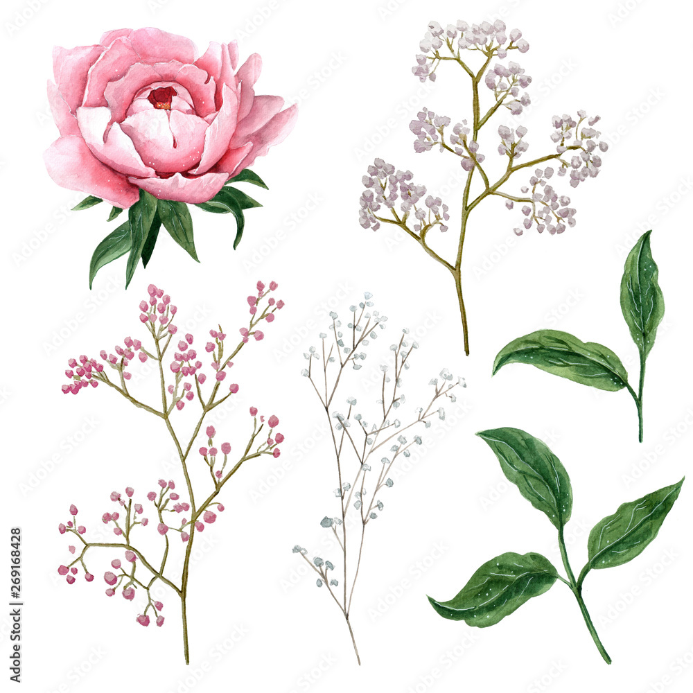 Fototapeta premium Watercolor set of peony flower, branch and leaves