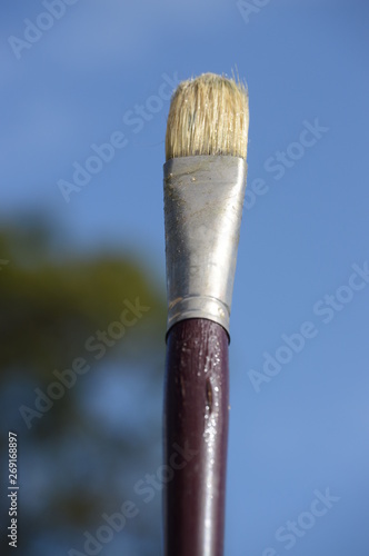 paintbrush photo