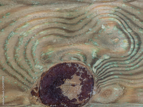 Texture planche de bois avec noeud marron