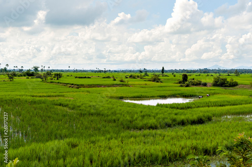 Foto View of rural areas in Cambodia