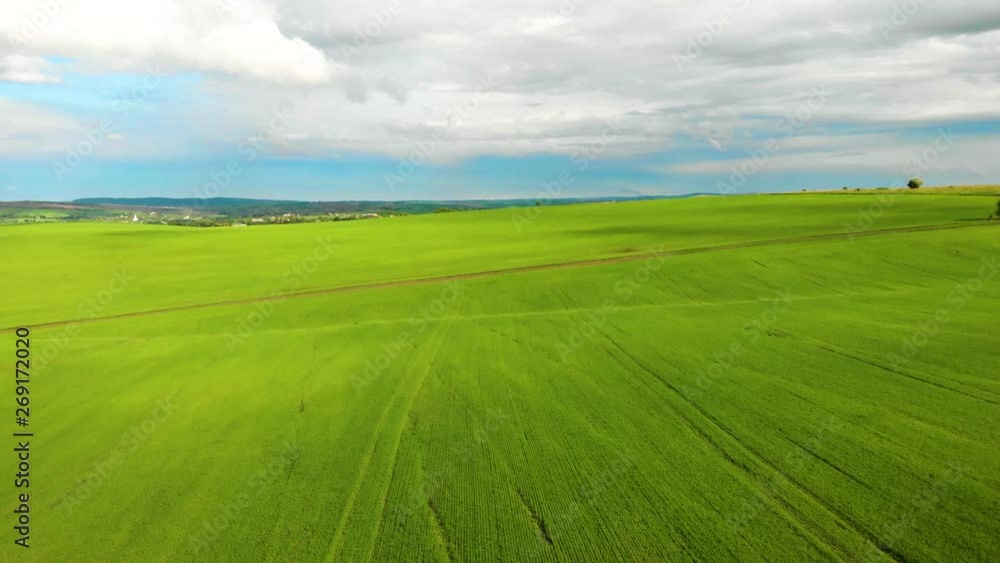 flying over the field of green wheat aerial background nature wallpapper flying over the field of green wheat aerial background nature wallpapper