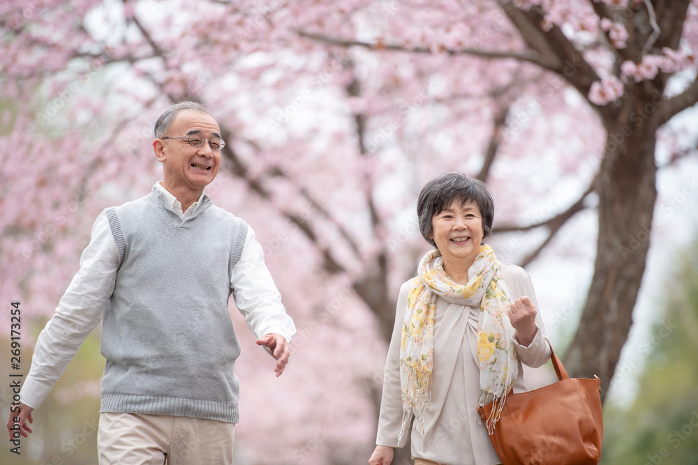 桜の中を歩くシニア夫婦