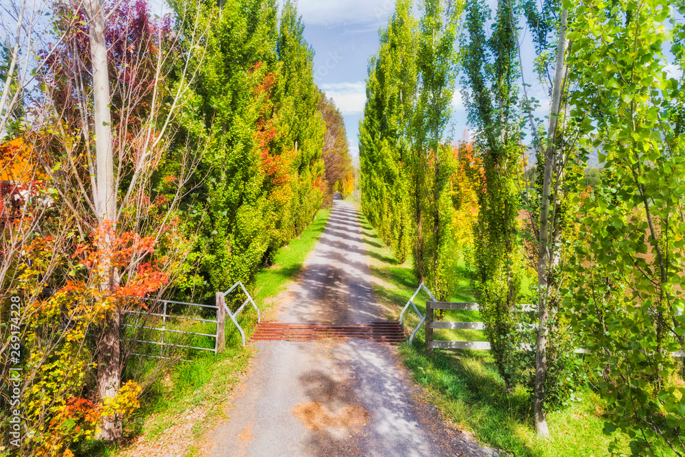 D Blandford alley low