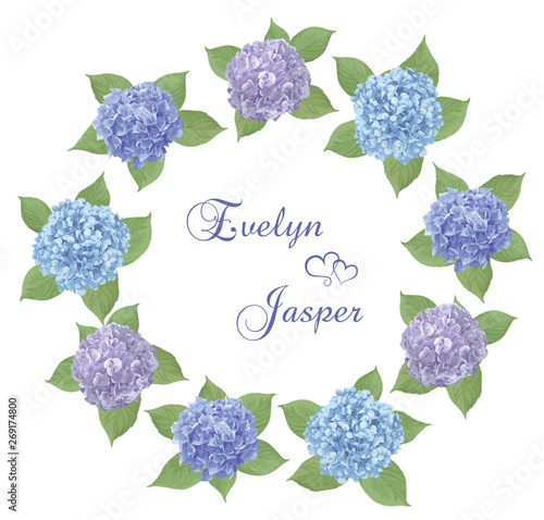 Vector wreath frame for wedding invitations.Watercolor Blue, purple, sapphirine flower, leaves of hydrangea, mophead, lacecap, panicle on background.Seasonal plants, collection.All elements
