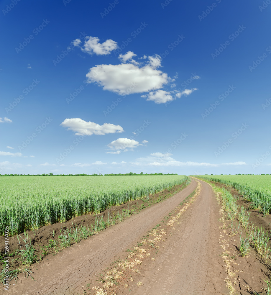 dirty road in green agriculture field and blue sky with clouds.