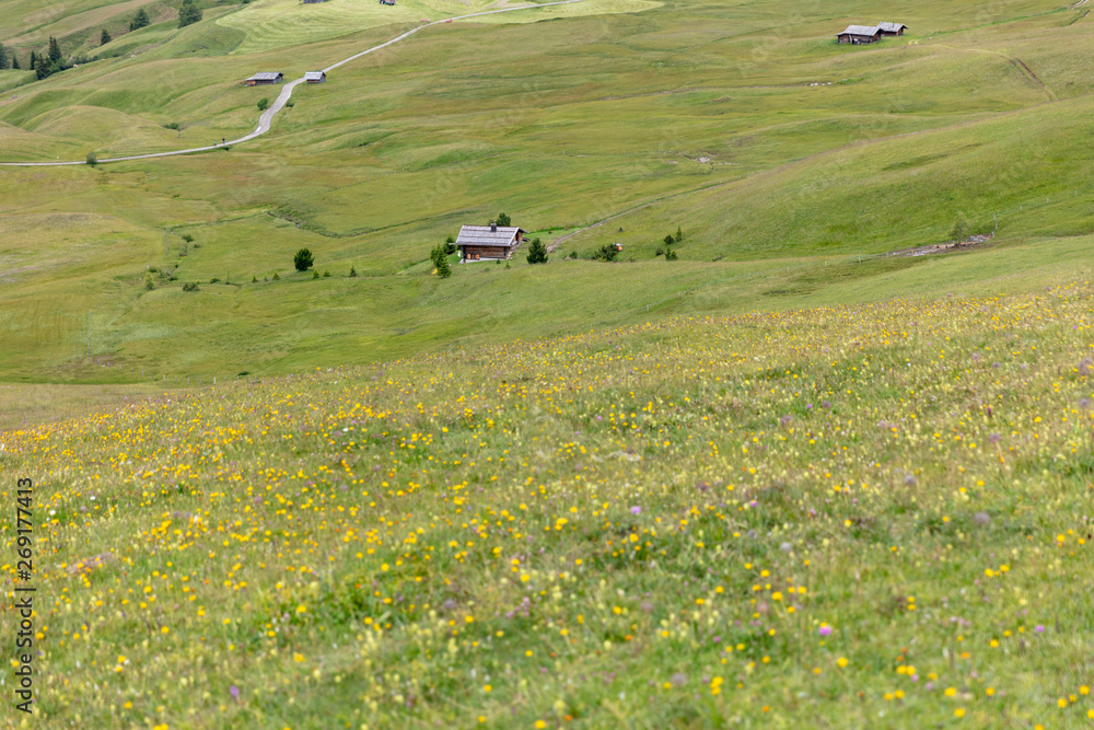 Farming and hiking landscape around Seiser Alm Farming and hiking landscape around Seiser Alm