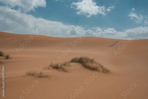 sand dunes in the desert with grass and clouds and a blue sky