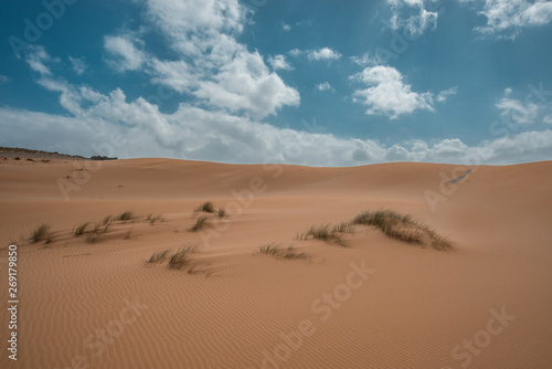 sand dunes in the desert with grass and clouds and a blue sky