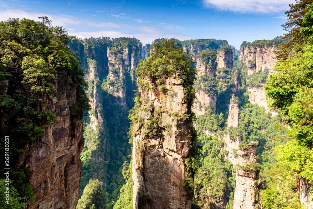 Fototapeta premium Zhangjiajie National Forest Park. Gigantic quartz pillar mountains rising from the canyon during summer sunny day. Hunan, China.