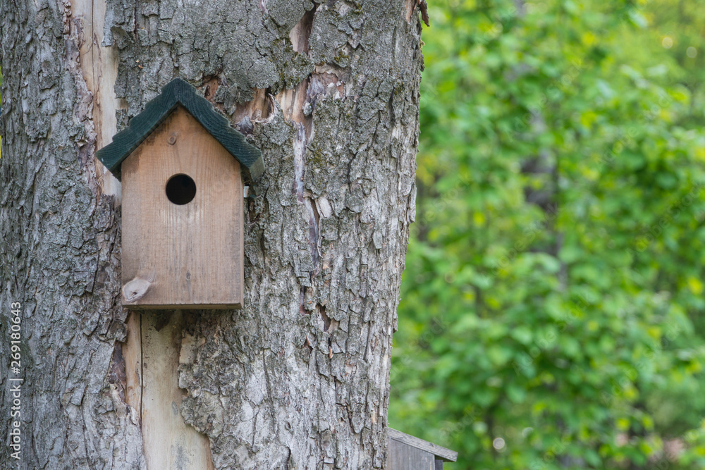 Shed for birds on trees. Wooden birdhouse on the tree. Shed for birds on trees. Wooden birdhouse on the tree.