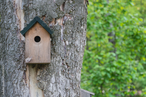 Fototapeta Naklejka Na Ścianę i Meble -  Shed for birds on trees. Wooden birdhouse on the tree.