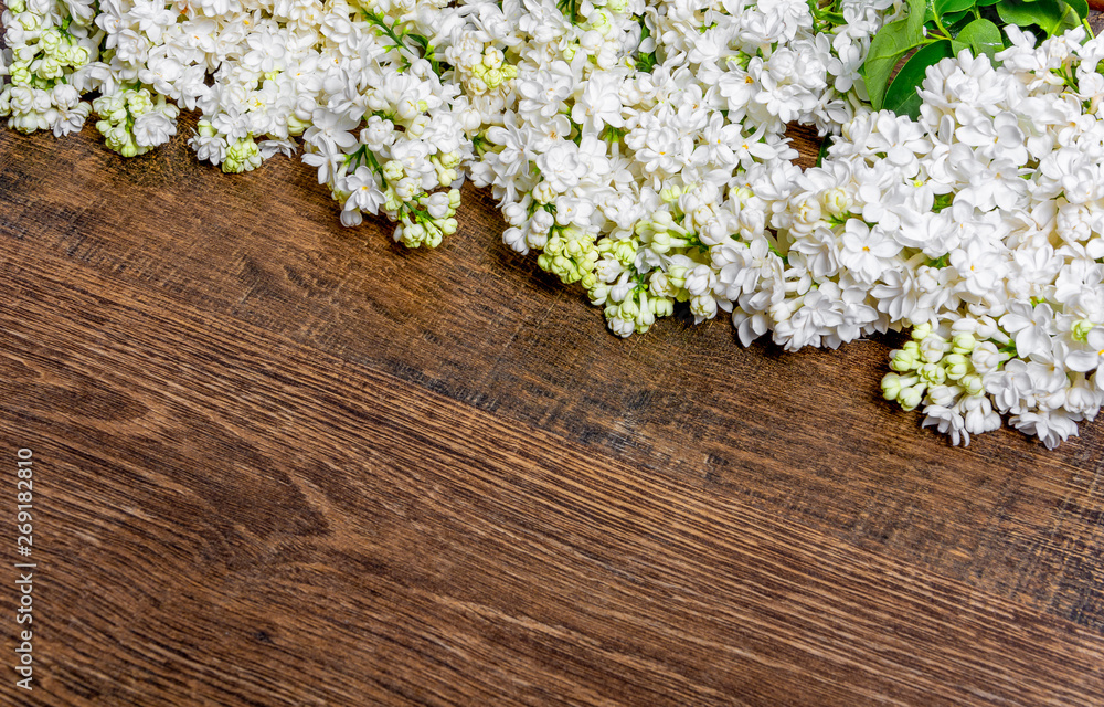 Spring background. The branches of white lilac on a dark wooden background. Flat Lay, Copy Space, Space for Text. Spring background. The branches of white lilac on a dark wooden background. Flat Lay, Copy Space, Space for Text.