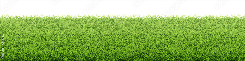 Green grass lawn. Border from fresh grass field. Background for design natural countryside landscape. Green grass lawn. Border from fresh grass field. Background for design natural countryside landscape.