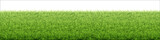 Green grass lawn. Border from fresh grass field. Background for design natural countryside landscape.