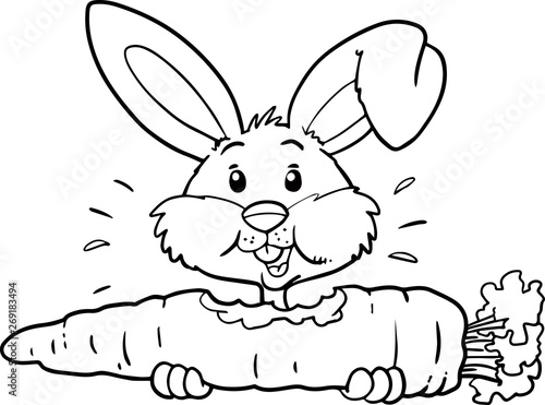 rabbit eating carrot
