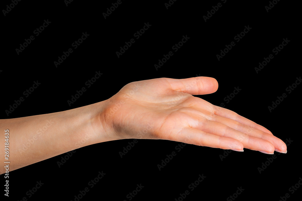 Woman showing open hand taking or showing something Woman showing open hand taking or showing something