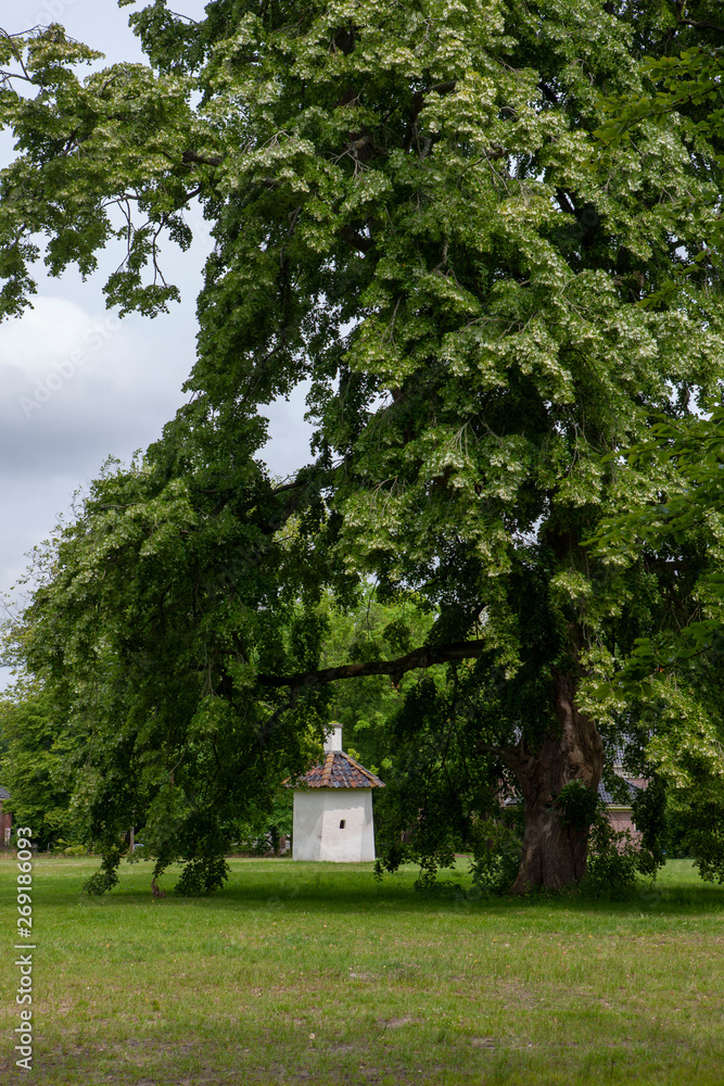 Mensinge estate Roden drente Netherlands