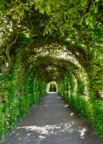 Historical garden of 'Muiderslot'; medieval Castle Muiden, Netherlands 