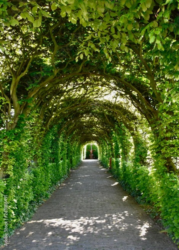 Historical garden of 'Muiderslot'; medieval Castle Muiden, Netherlands	