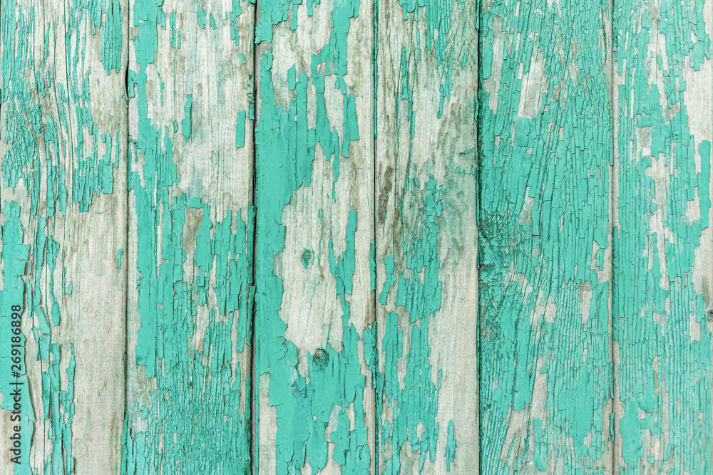 Unpolished wood texture background. Shabby planks painted in light blue color.