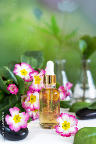 Natural organic extraction and green herbal leaves, Flower aroma essence solution in laboratory.Used as a cosmetic ingredient used in the spa.Selection of essential oils, with herbs and flowers