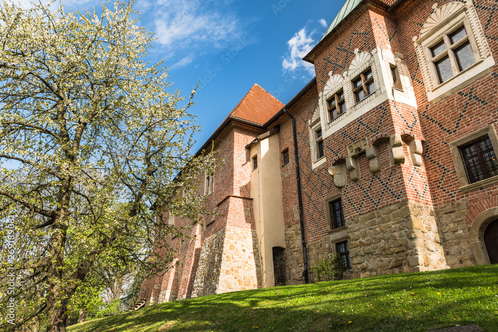 Late Gothic castle in Debno, near Tarnow,Lesser Poland,Poland