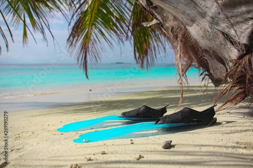 Turquoise blue flippers close up lie on the shore of a tropical island with white sand  in blue lagoon Indian Ocean  Maldives. Vacation and leisure concept