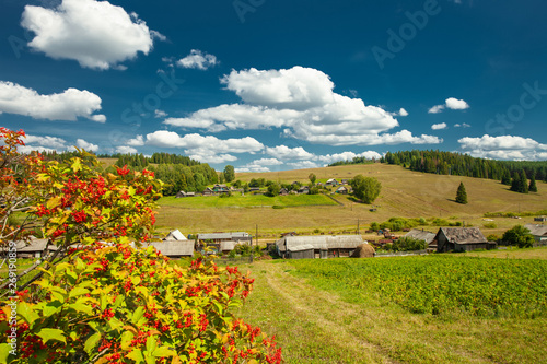Panorama of the village at the mountain slope with a guelder-rose bush in the foreground