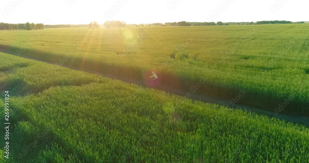 Aerial view on young boy, that rides a bicycle thru a wheat grass field on the old rural road. Sunlight and beams. Aerial view on young boy, that rides a bicycle thru a wheat grass field on the old rural road. Sunlight and beams.