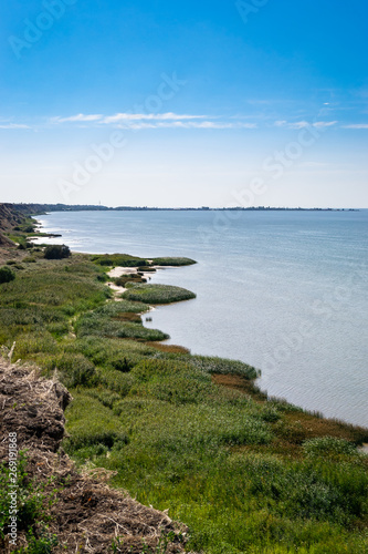 the coast of the Azov sea, overgrown with grass and rushes summer sun dnem