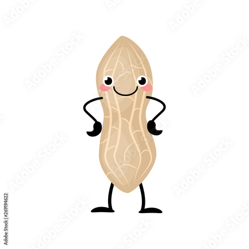 Cute cartoon peanut vector illustration isolated on white background.