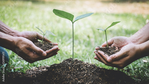 World environment day reforesting, Hands of young man helping were planting the seedlings and tree growing into soil while working in the garden as save the world, earth day and ecology concept