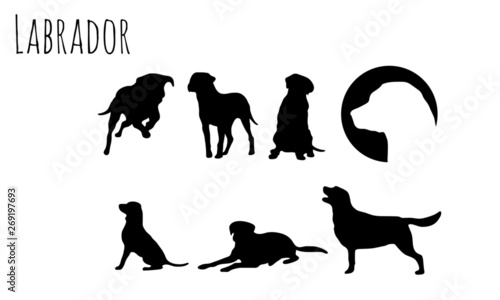 Labrador Icons